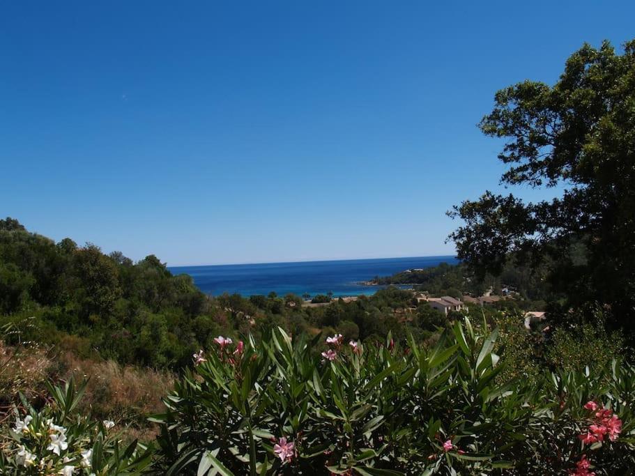 Villa Vista Mare 11 Favone Conca Exterior photo